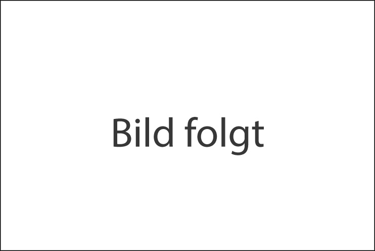 Trowalisieren
